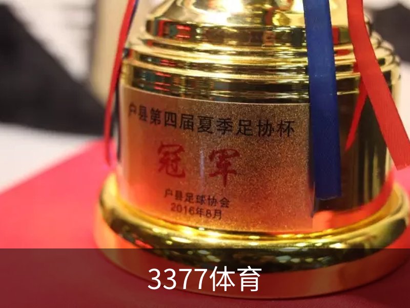 3377体育概况